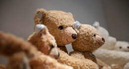 Shop im Fokus: Steiff